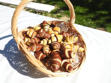 Pomlad v prleških goricah 2017 30